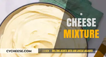 Exploring the Creamy World of Cheese Mixtures: Recipes and Tips