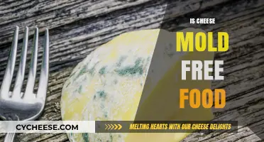 Cheese and Mold: Friends or Foes?