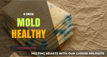 Cheese Mold: Healthy or Harmful?