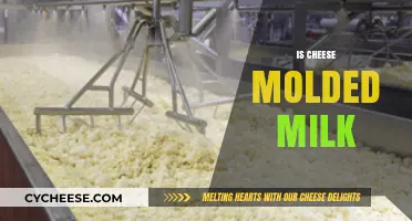 Is Cheese Molded Milk? Unraveling the Dairy Transformation Process