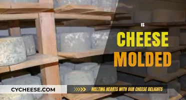 Is Cheese Molded? Uncovering the Truth Behind Cheese Production