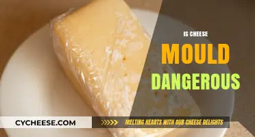 Is Cheese Mold Dangerous? Understanding Risks and Safe Consumption
