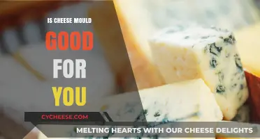 Cheese Mould: Friend or Foe?