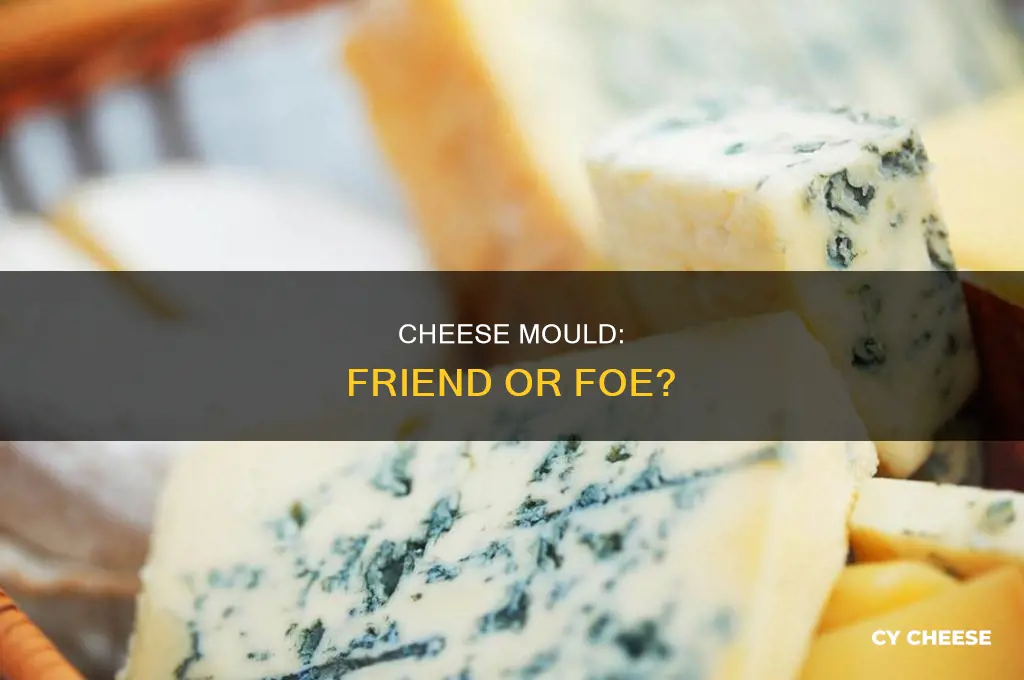 is cheese mould good for you