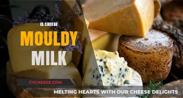 Is Cheese Mouldy Milk? Unraveling the Dairy Fermentation Mystery