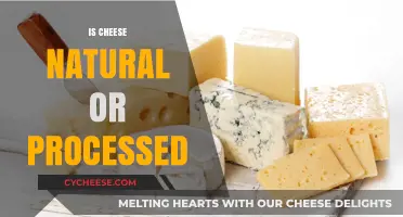 Is Cheese Natural or Processed? Unraveling the Dairy Dilemma