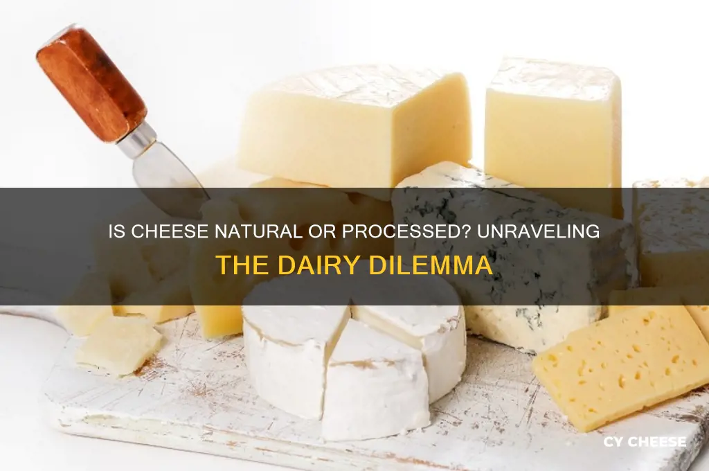 is cheese natural or processed