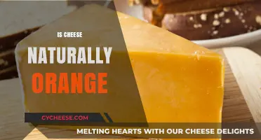 Is Cheese Naturally Orange? Uncovering the Truth Behind Its Color