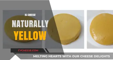 Is Cheese Naturally Yellow? Uncovering the Truth Behind Its Color