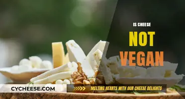 Is Cheese Vegan? Unraveling the Dairy Dilemma for Plant-Based Eaters