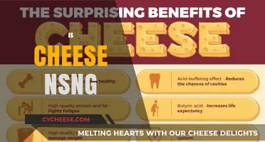 Is Cheese NSNG? Unraveling the Dairy Dilemma for a Healthy Diet
