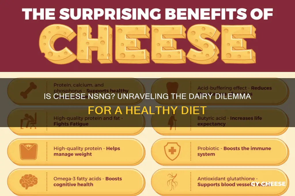 is cheese nsng