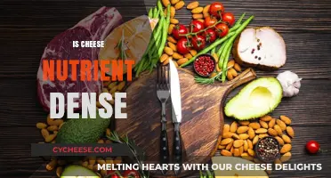 Is Cheese Nutrient-Dense? Uncovering Its Health Benefits and Drawbacks