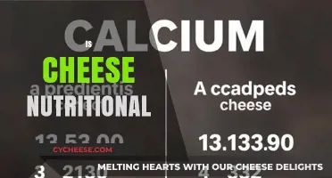 Is Cheese Nutritional? Uncovering the Health Benefits and Concerns