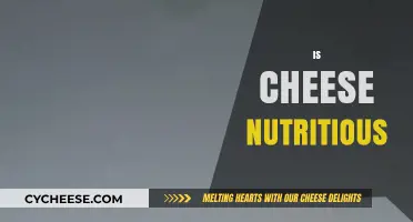 Is Cheese Nutritious? Uncovering the Health Benefits and Myths