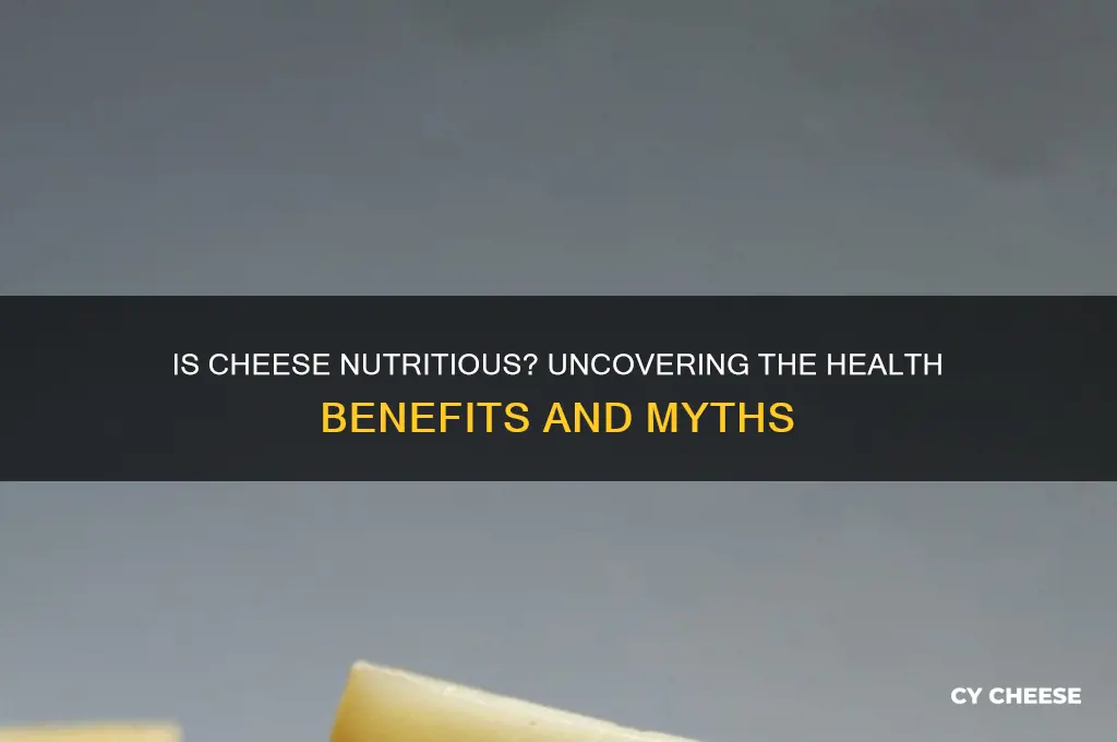is cheese nutritious