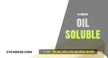 Is Cheese Oil Soluble? Exploring the Science Behind Cheese and Oil