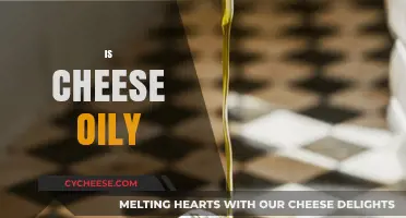 Is Cheese Oily? Uncovering the Truth About Cheese Texture