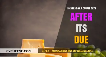 Is Cheese Safe to Eat After Its Expiration Date?