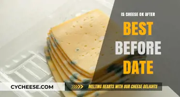 Cheese Consumption: Best Before Dates Explained