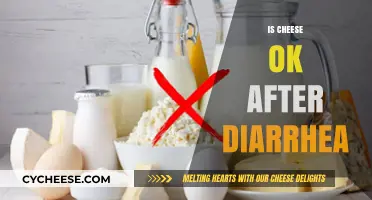 Can You Eat Cheese After Diarrhea? Expert Advice and Tips