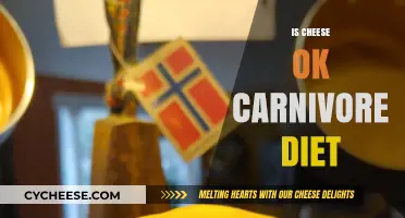 Can You Eat Cheese on a Carnivore Diet? Facts and Myths