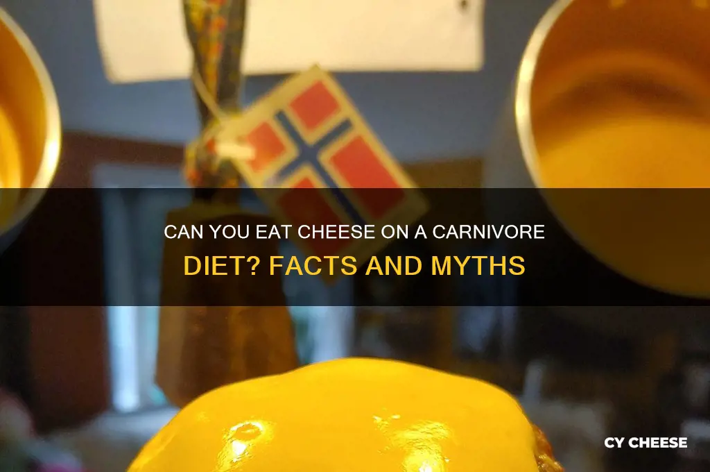 is cheese ok carnivore diet