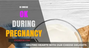 Pregnancy and Cheese: Safe Choices for Expecting Moms to Enjoy