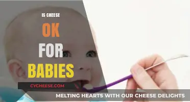 Is Cheese Safe for Babies? A Parent's Guide to Early Feeding