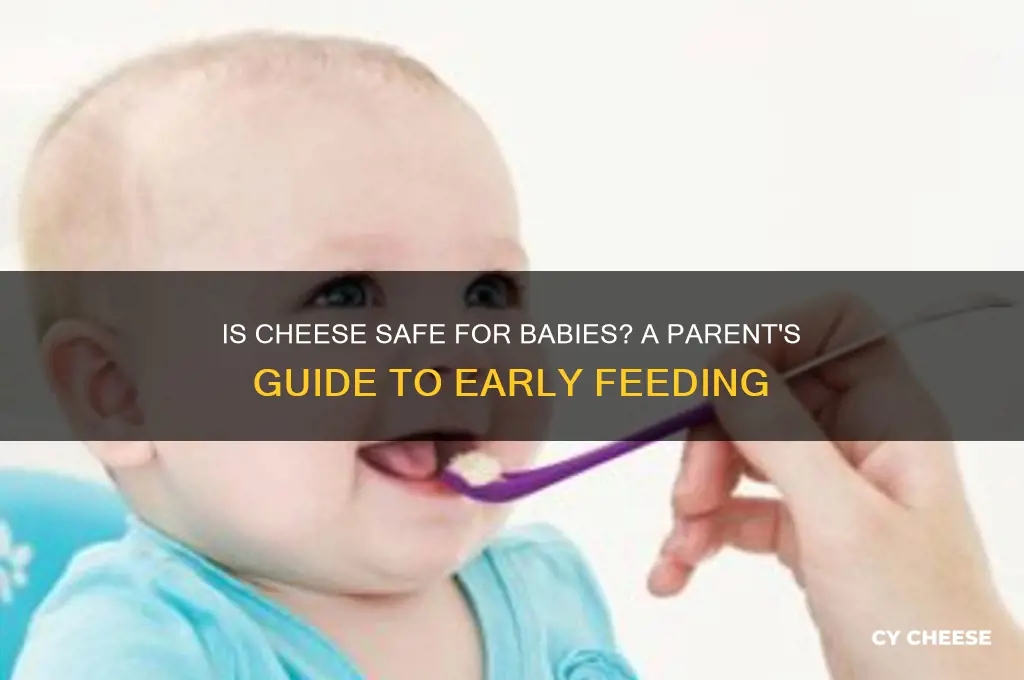 is cheese ok for babies