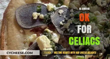 Can Celiacs Eat Cheese? Understanding Gluten-Free Dairy Options