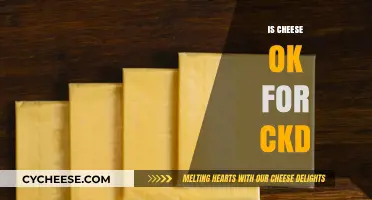 Is Cheese Safe for CKD Patients? A Dietary Guide