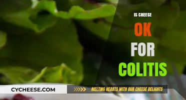 Can You Eat Cheese with Colitis? A Dietary Guide for Gut Health