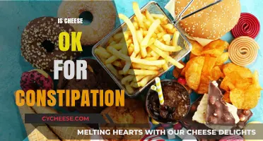 Can Cheese Relieve Constipation? Exploring Dairy's Role in Digestive Health