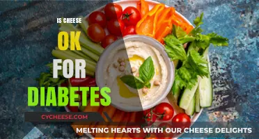 Cheese and Diabetes: Balancing Taste, Health, and Blood Sugar Levels