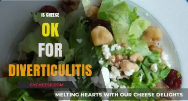 Can You Eat Cheese with Diverticulitis? Dietary Tips and Facts