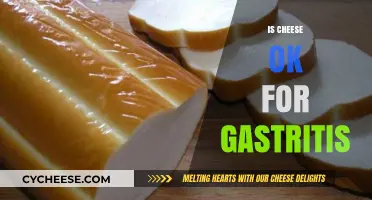 Can You Eat Cheese with Gastritis? A Dietary Guide for Relief