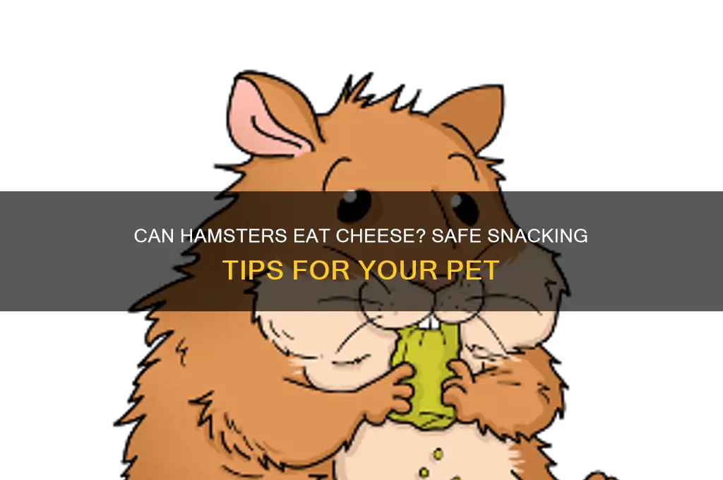 is cheese ok for hamsters