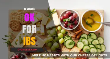 Is Cheese Safe for IBS? A Digestive Health Guide