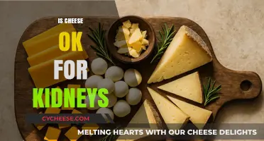 Is Cheese Kidney-Friendly? Understanding Its Impact on Kidney Health