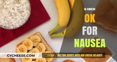 Can Cheese Help or Hurt Nausea? Expert Insights and Tips