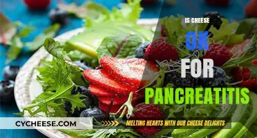 Can You Eat Cheese with Pancreatitis? Diet Tips and Risks