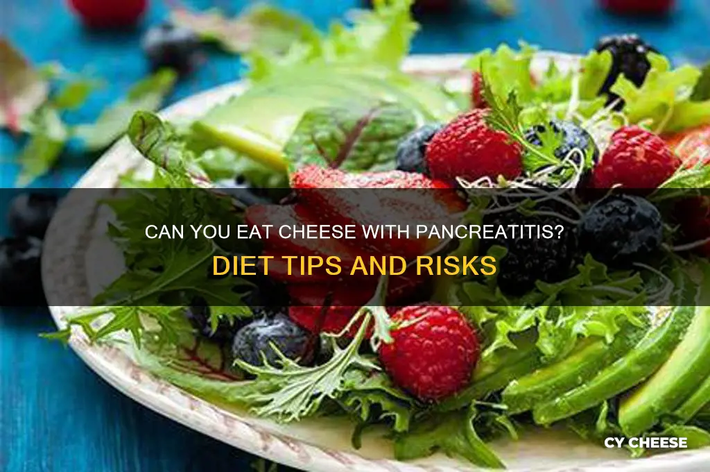 is cheese ok for pancreatitis