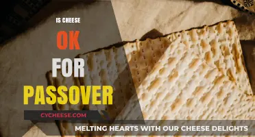 Is Cheese Kosher for Passover? Understanding Dairy Rules During the Holiday