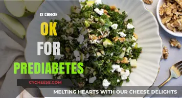 Can Prediabetics Eat Cheese? Nutrition Tips for Blood Sugar Control