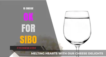 Is Cheese Safe for SIBO? Understanding Dietary Choices for Gut Health