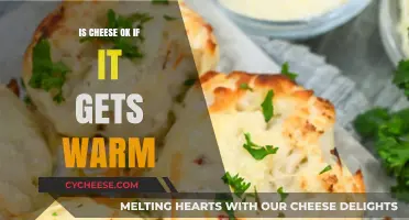 Cheese and Warmth: What's the Safe Temperature Range?