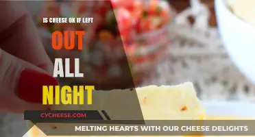 Is Cheese Safe to Eat After Being Left Out Overnight?