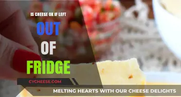Is Cheese Safe to Eat if Left Out Overnight?