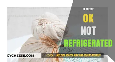 Is Cheese Safe Unrefrigerated? Storage Tips and Myths Debunked